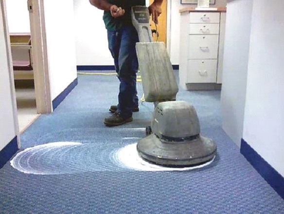 ELEVATE YOUR SPACE WITH PROFESSIONAL CARPET CLEANING